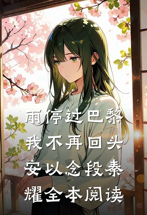 雨停过巴黎，我不再回头安以念段秦耀全本阅读