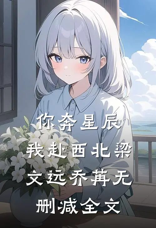 你奔星辰，我赴西北梁文远乔苒无删减全文