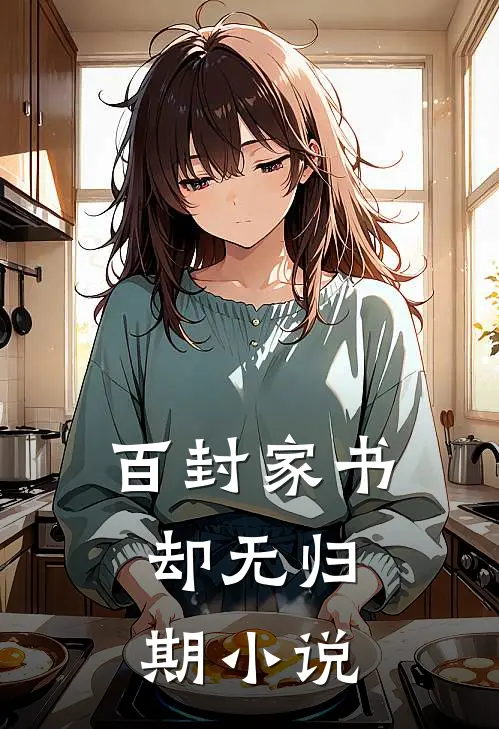 百封家书，却无归期小说
