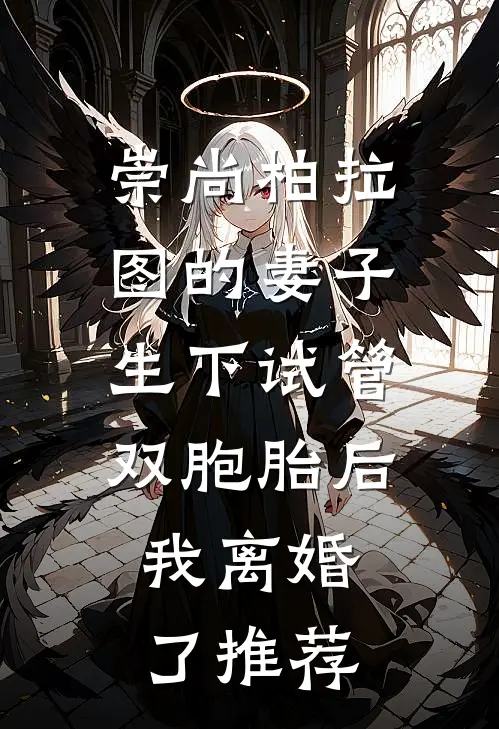 崇尚柏拉图的妻子生下试管双胞胎后，我离婚了推荐
