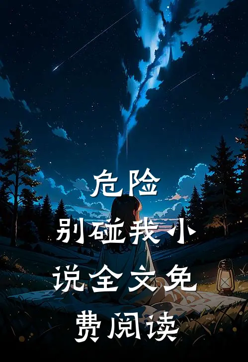 危险，别碰我小说全文免费阅读