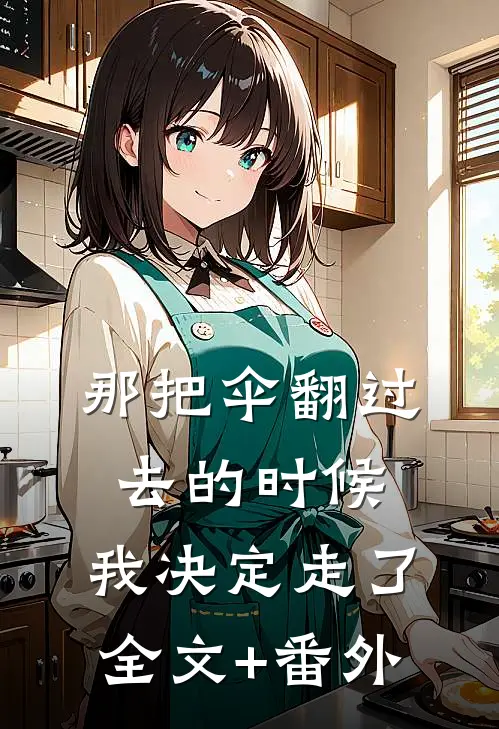 那把伞翻过去的时候，我决定走了全文+番外