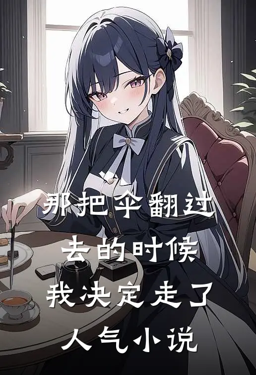 那把伞翻过去的时候，我决定走了人气小说