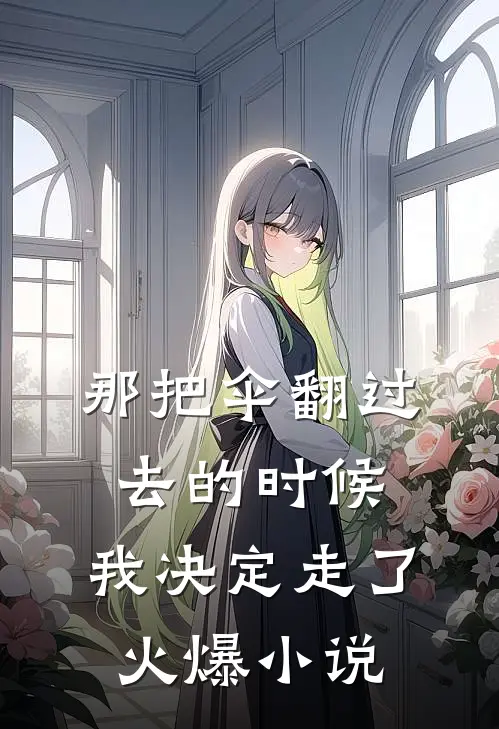 那把伞翻过去的时候，我决定走了火爆小说