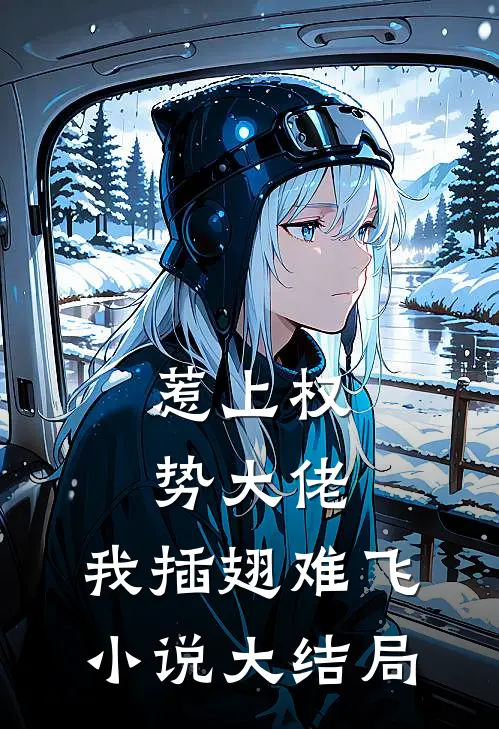 惹上权势大佬，我插翅难飞小说大结局