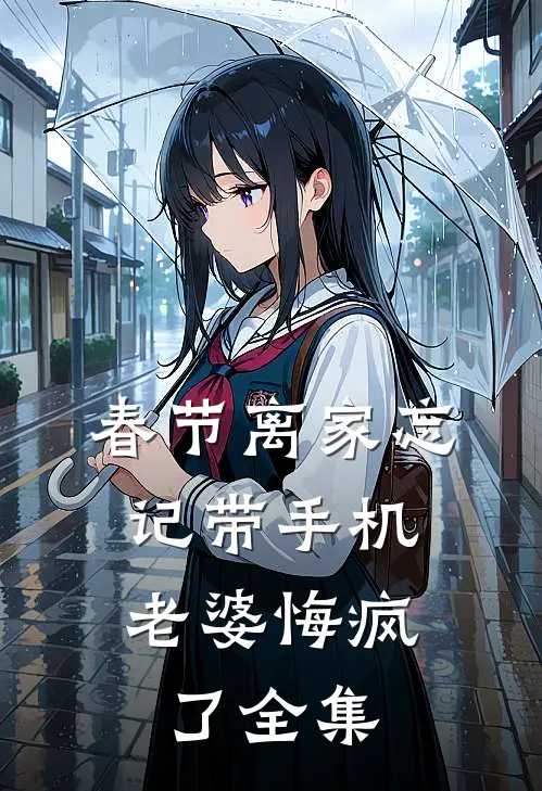 春节离家忘记带手机，老婆悔疯了全集
