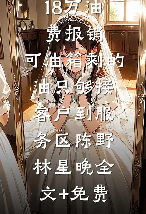 公司卡我18万油费报销，可油箱剩的油只够接客户到服务区陈野林星晚全文+免费