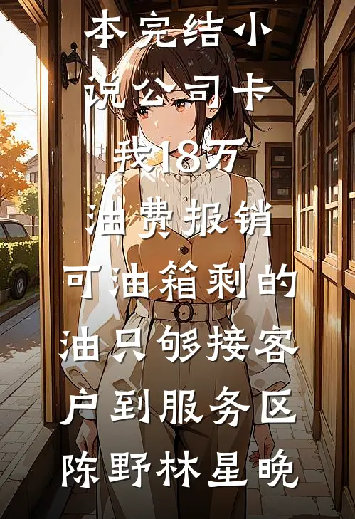 公司卡我18万油费报销，可油箱剩的油只够接客户到服务区(陈野林星晚)免费阅读全文_全本完结小说公司卡我18万油费报销，可油箱剩的油只够接客户到服务区陈野林星晚
