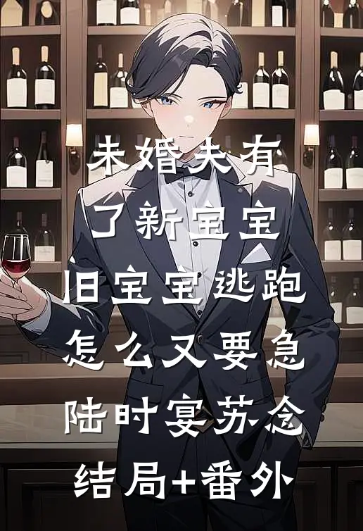 未婚夫有了新宝宝，旧宝宝逃跑怎么又要急陆时宴苏念结局+番外