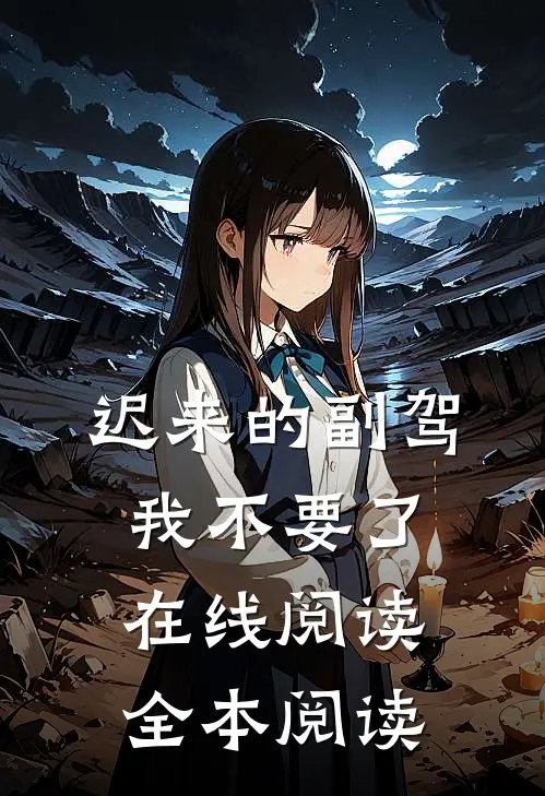 迟来的副驾，我不要了在线阅读全本阅读