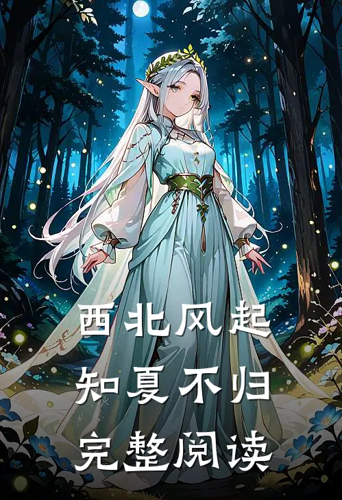 西北风起，知夏不归完整阅读