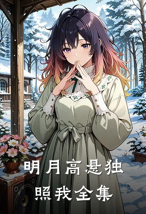 明月高悬独照我全集