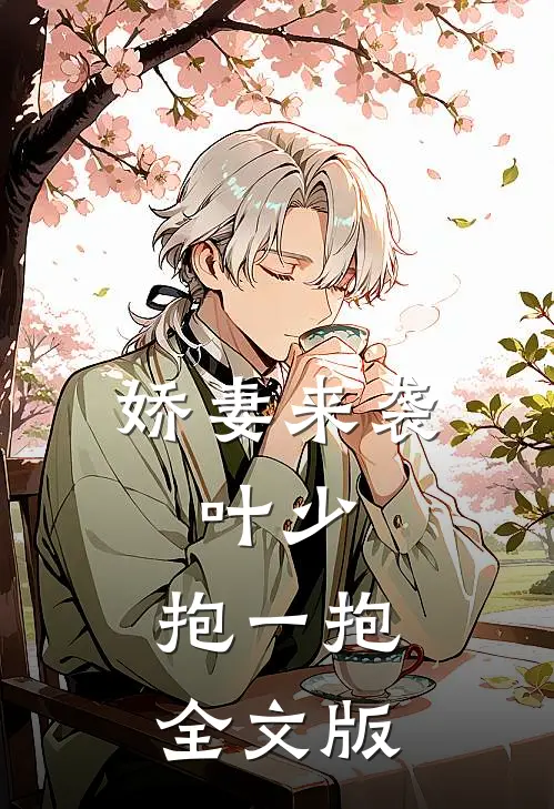 娇妻来袭叶少,抱一抱全文版免费阅读