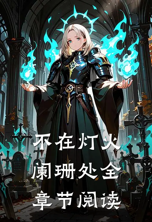 不在灯火阑珊处全章节阅读