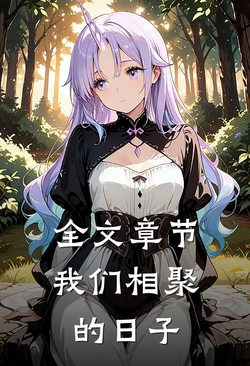 全文章节我们相聚的日子