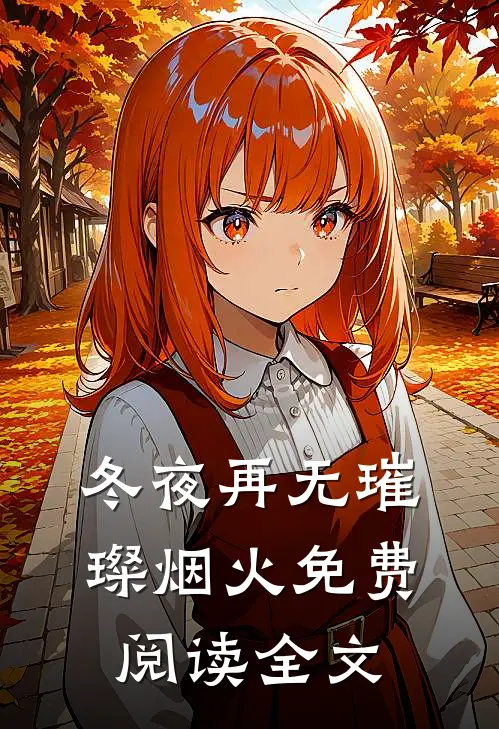冬夜再无璀璨烟火免费阅读全文