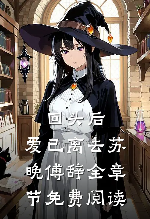 回头后,爱已离去苏晚傅辞全章节免费阅读无弹窗