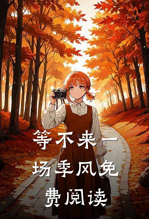 等不来一场季风免费阅读