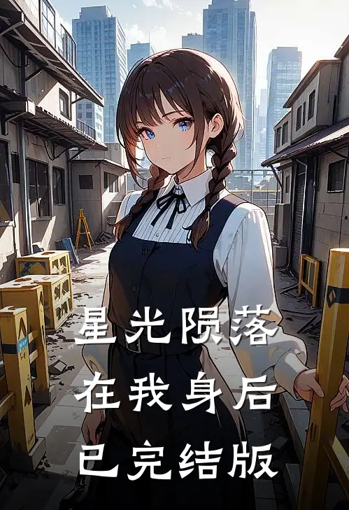 星光陨落在我身后已完结版