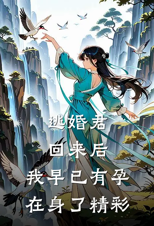 逃婚君回来后,我早已有孕在身了精彩