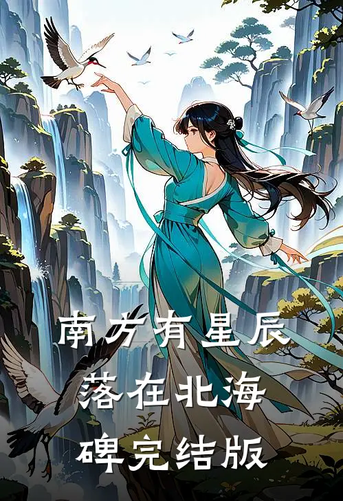 南方有星辰，落在北海碑完结版