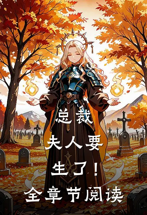 总裁,夫人要生了!全章节阅读