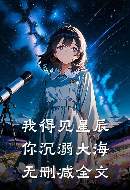 我得见星辰,你沉溺大海无删减全文在线阅读