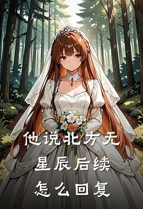 他说北方无星辰后续怎么回复
