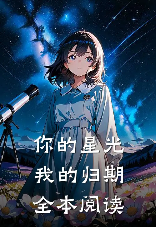 你的星光我的归期全本阅读