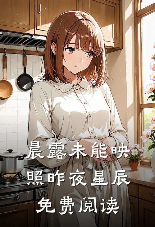 晨露未能映照昨夜星辰免费阅读