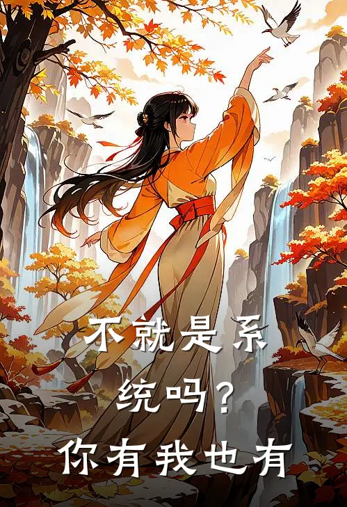 不就是系统吗？你有我也有