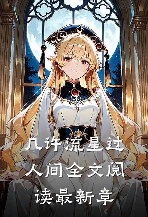 几许流星过人间全文阅读最新章