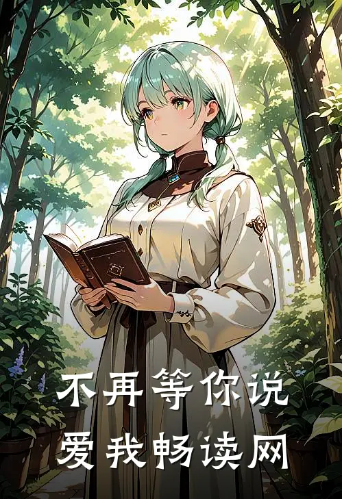 不再等你说爱我畅读网
