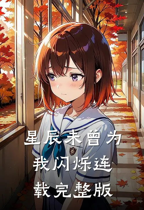 星辰未曾为我闪烁连载完整版
