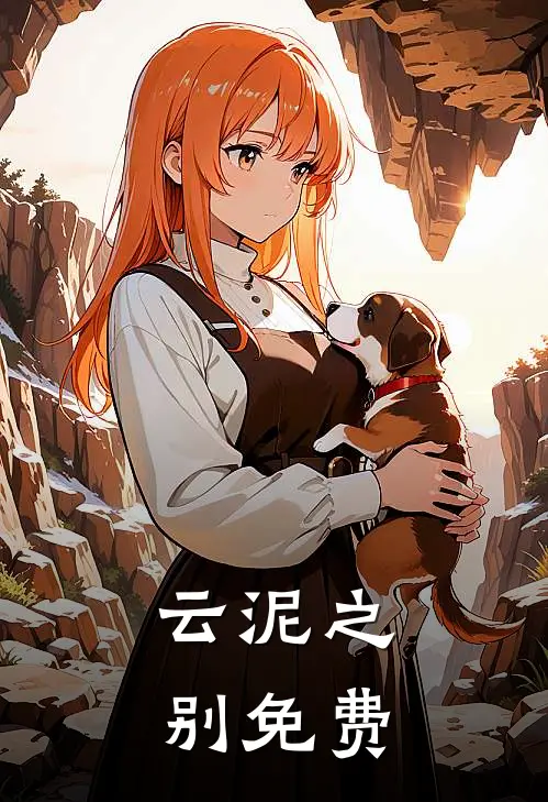 云泥之别免费