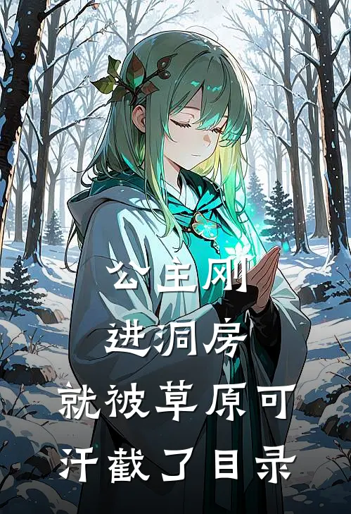 公主刚进洞房，就被草原可汗截了目录