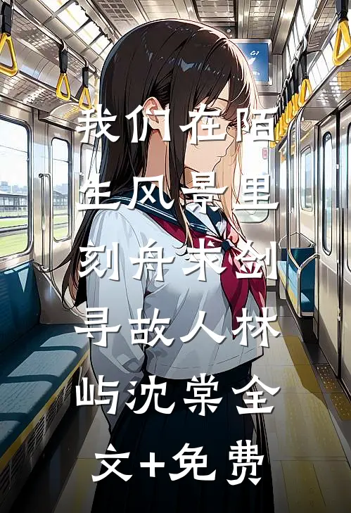 我们在陌生风景里，刻舟求剑寻故人林屿沈棠全文+免费