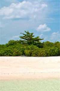 戈壁追夫？不，是讨离婚证！林纾容沈惊寒后续+全文