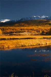 我摘星辰缀她衣最后结局