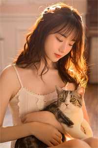 双飞燕朝如寒，伤离别东风怨小说全文免费