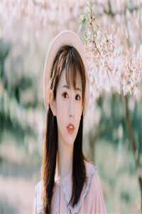 春风从此不渡我高口碑