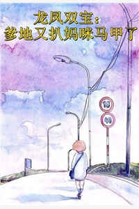 海鸥与红嫁衣高质量好文