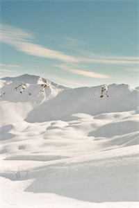 十年春诉爱难归完整阅读