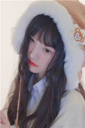 你的星光我的归期章节