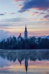 兰因絮果终成雪精品推荐