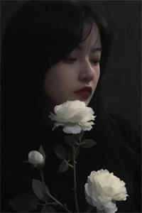 她曾把光藏入怀后续+番外