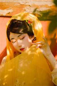 此情依旧负了春全本小说推荐