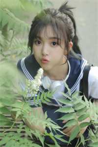 棠花落尽不相逢无删减