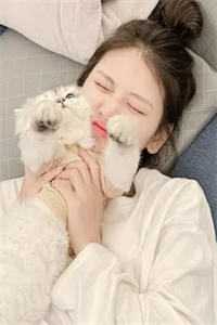 黄粱一梦忆忘妻免费阅读全文