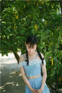 爸爸，向日葵又盛开了已完结版